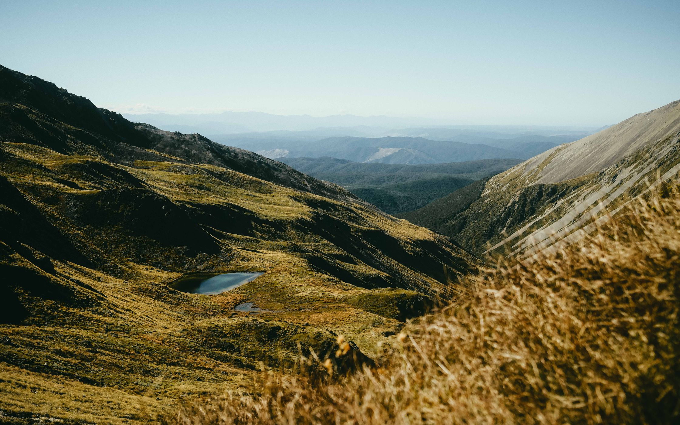 Valley view from Mount Robert Circuit, Nelson Lakes NP, New Zealand