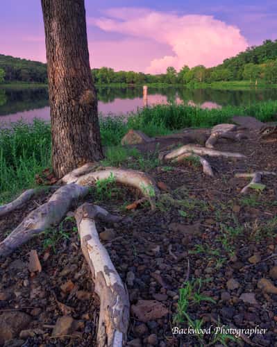 Vian Lake