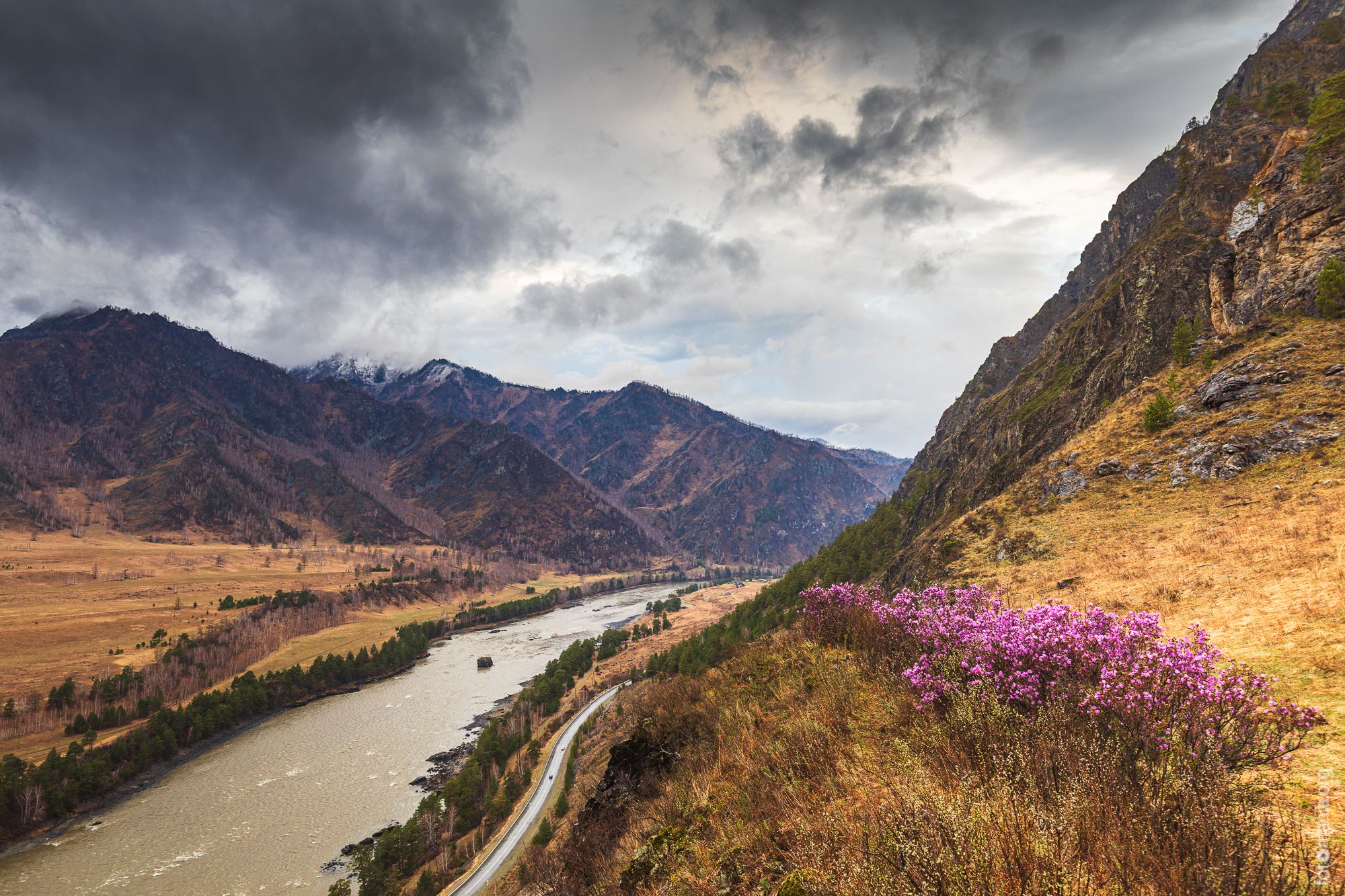 Viewpoint to Katun river, Russian Federation