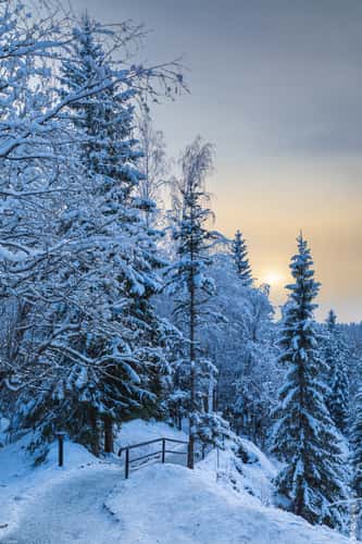 Walking paths around Ruskeala lake