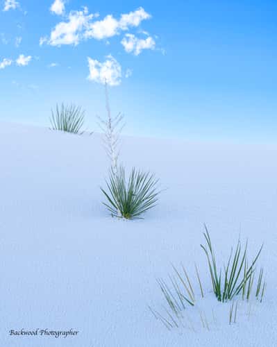 White Sands National Park