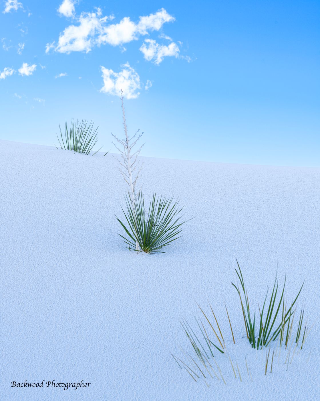 White Sands National Park, USA