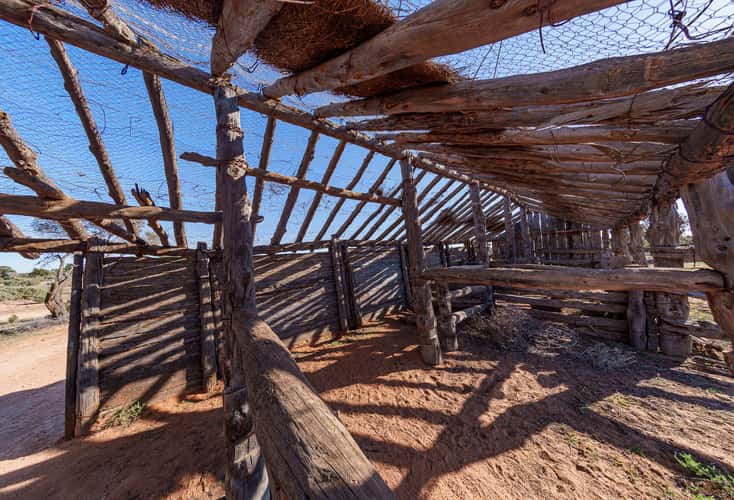 Zanci Shearing shed ruin.