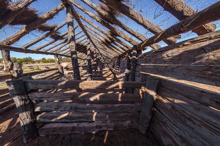 Zanci Shearing shed ruin.