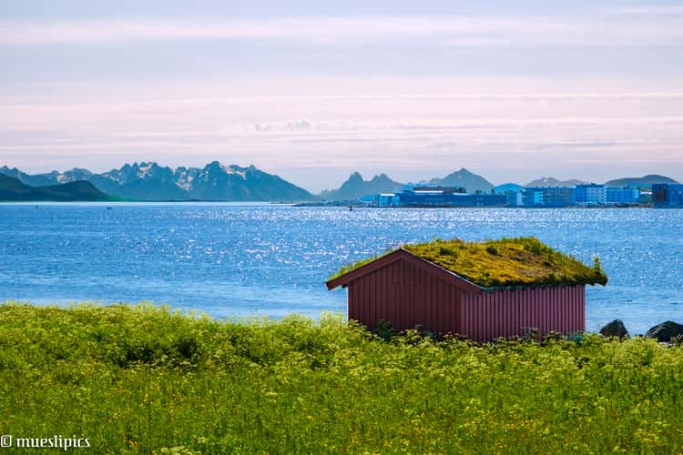 a hut, some grass and water with mountains