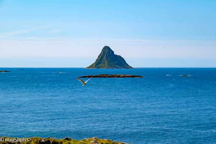 a mountain in the sea