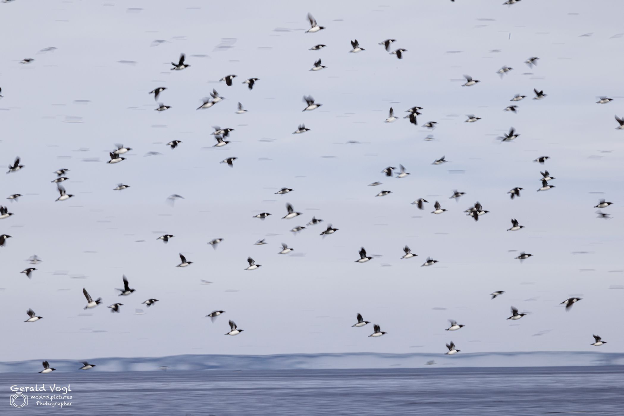 Alkefjellet, Hilopenstretet, Svalbard & Jan Mayen Islands