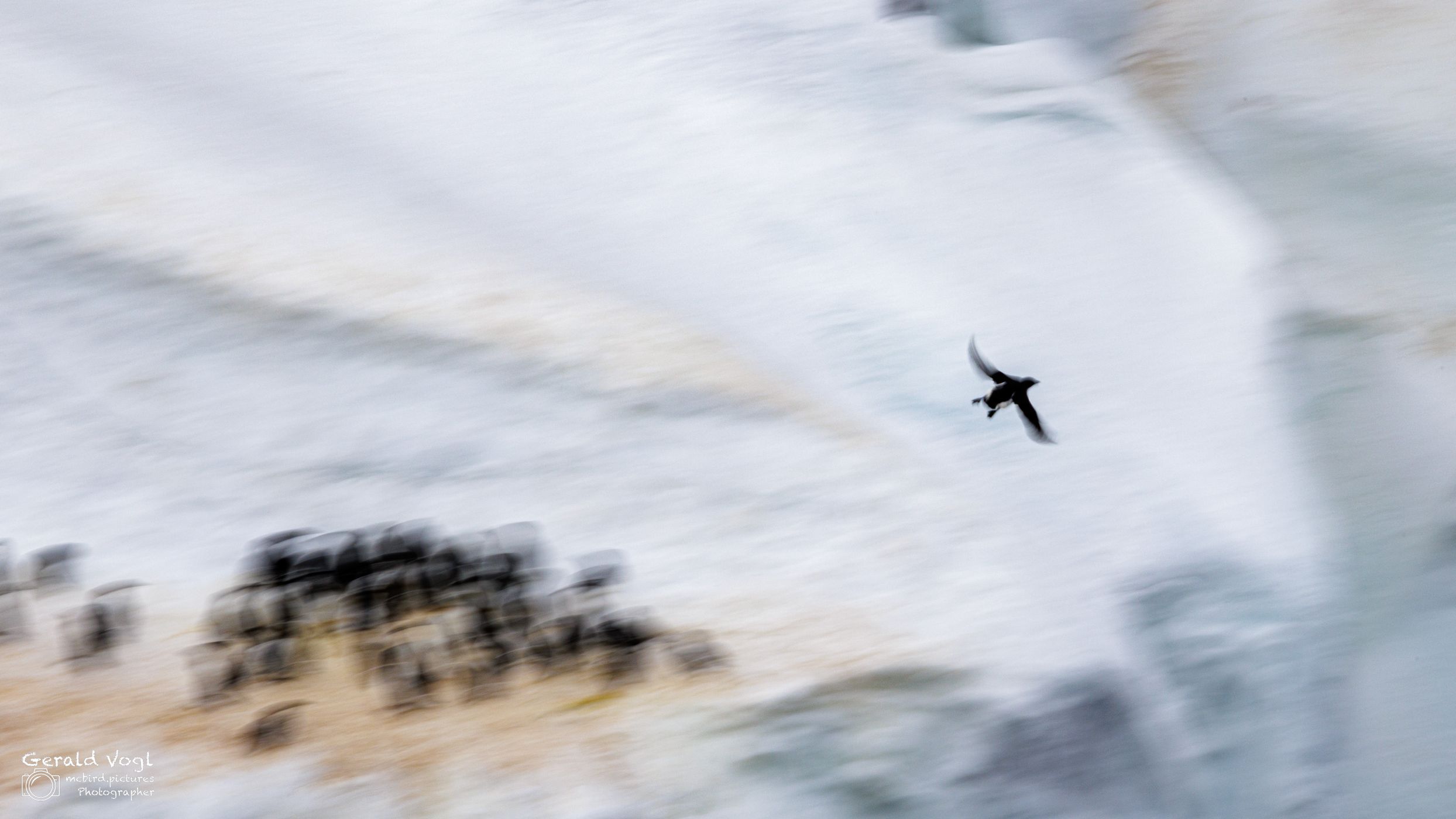 Alkefjellet, Hilopenstretet, Svalbard & Jan Mayen Islands