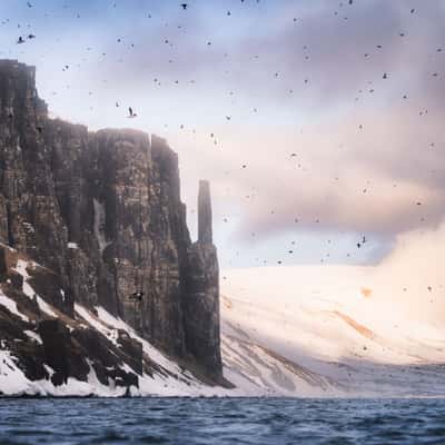 Alkefjellet, Hilopenstretet, Svalbard & Jan Mayen Islands