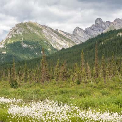 Approaching Brooks Range, USA