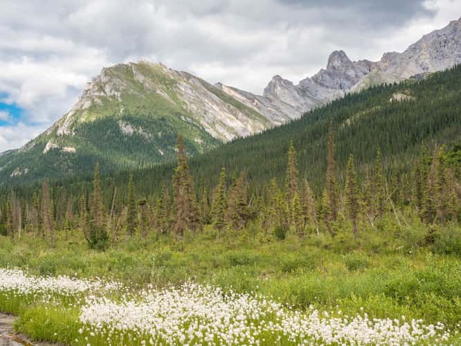 Approaching Brooks Range
