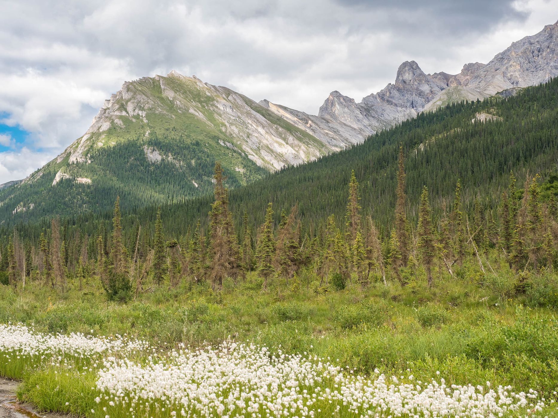 Approaching Brooks Range, USA