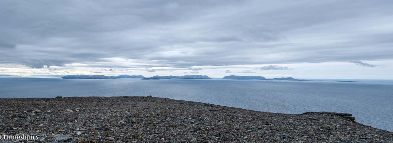 Artic View