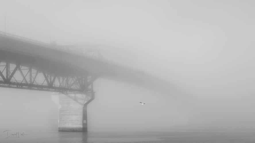Auckland Harbour Bridge