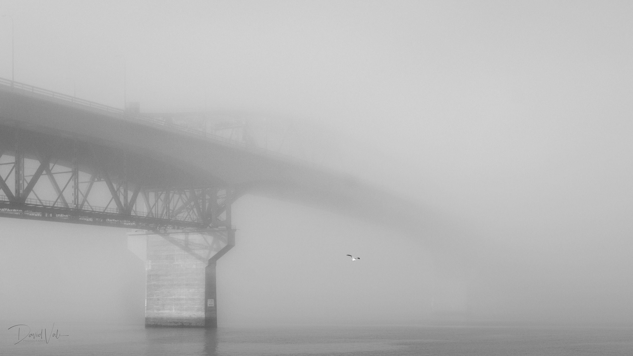 Auckland Harbour Bridge, New Zealand