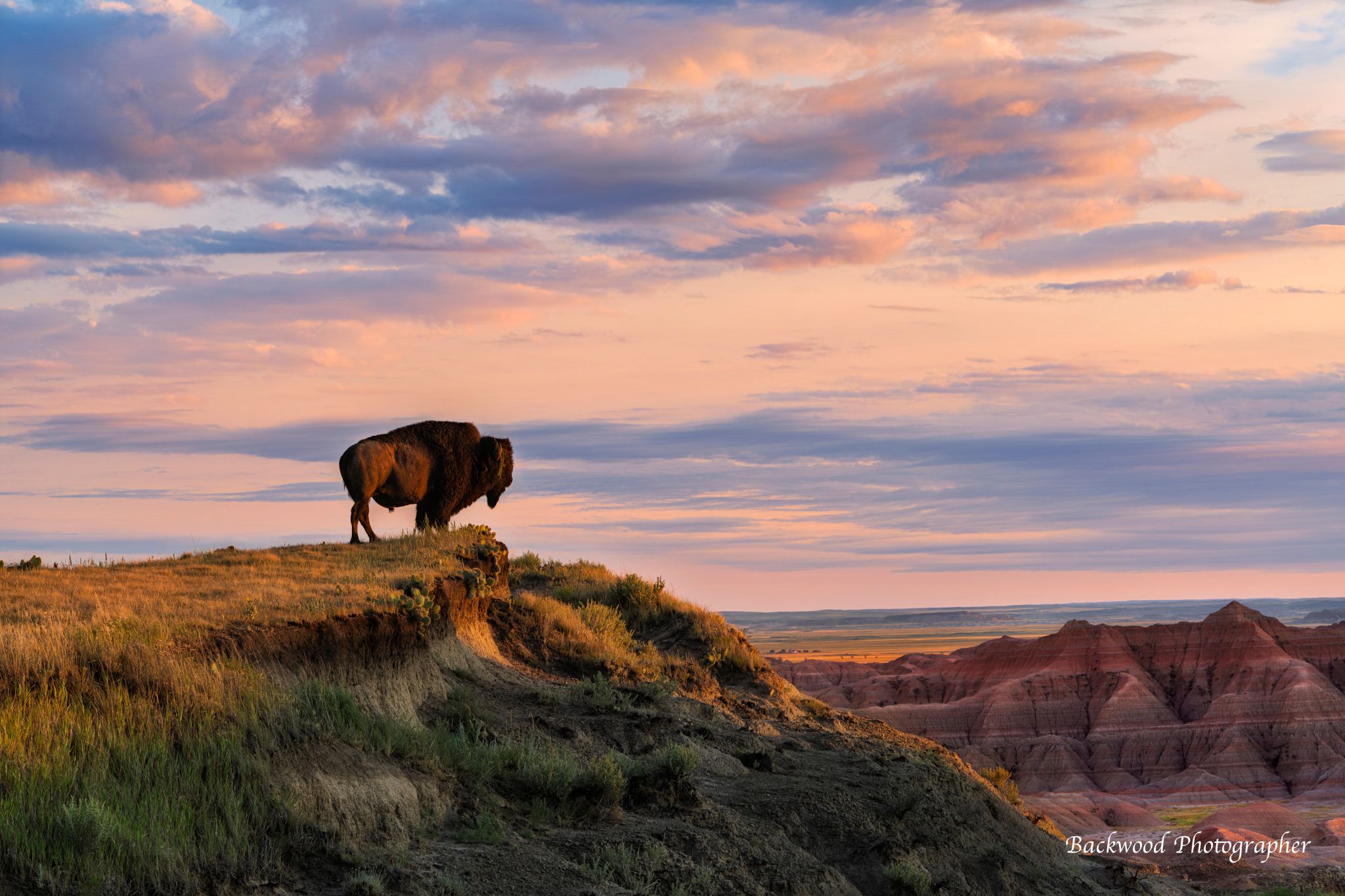 Badlands Loop Road, USA