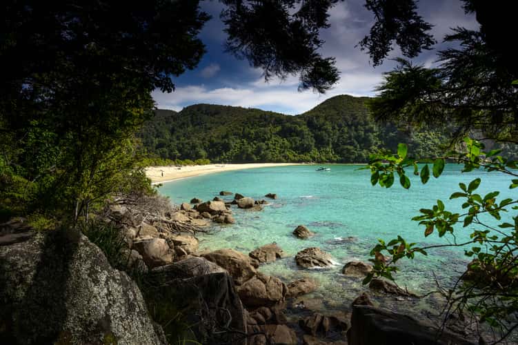 Bark Bay view