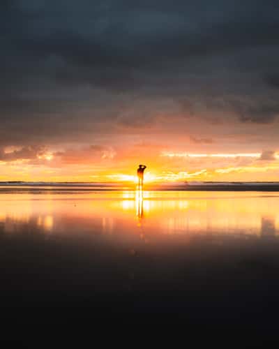 Bethells Beach