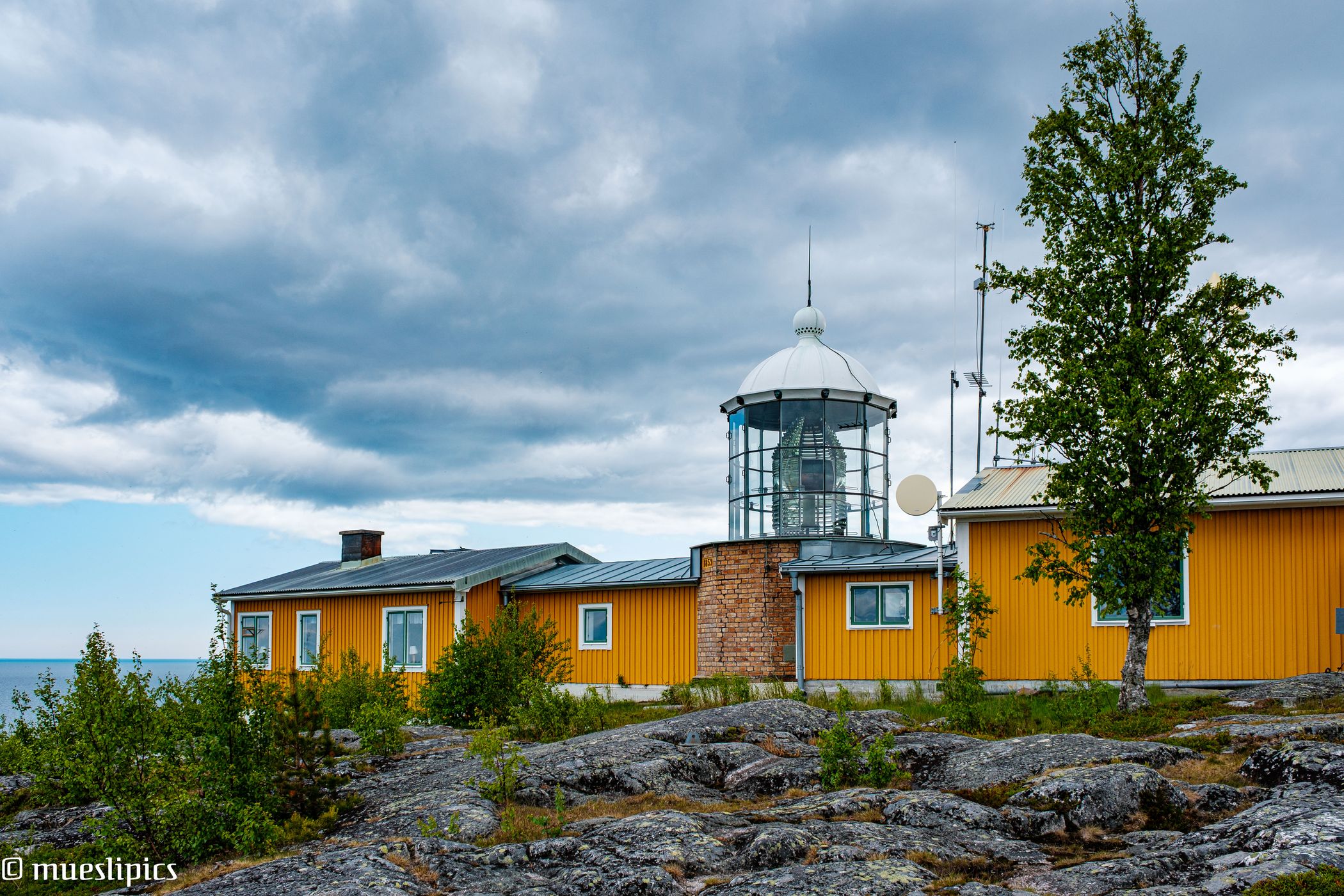 Bjüröklubb, Sweden