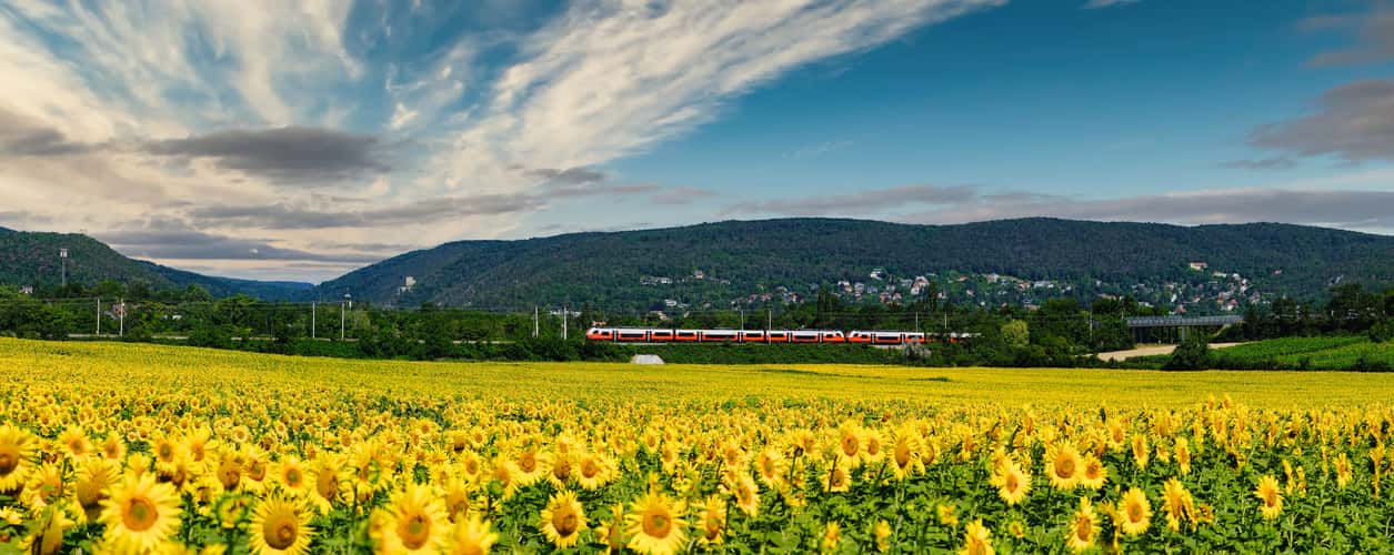 Blick ins Helenental