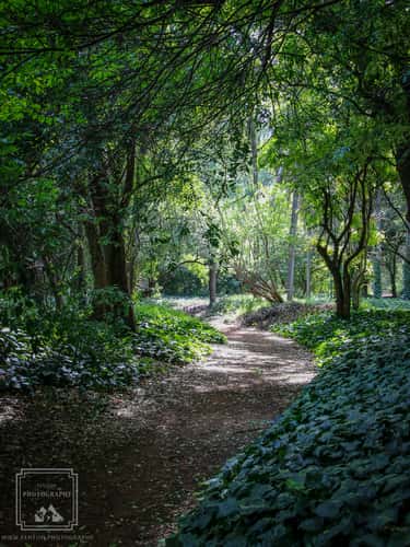 Buenos Aires Park