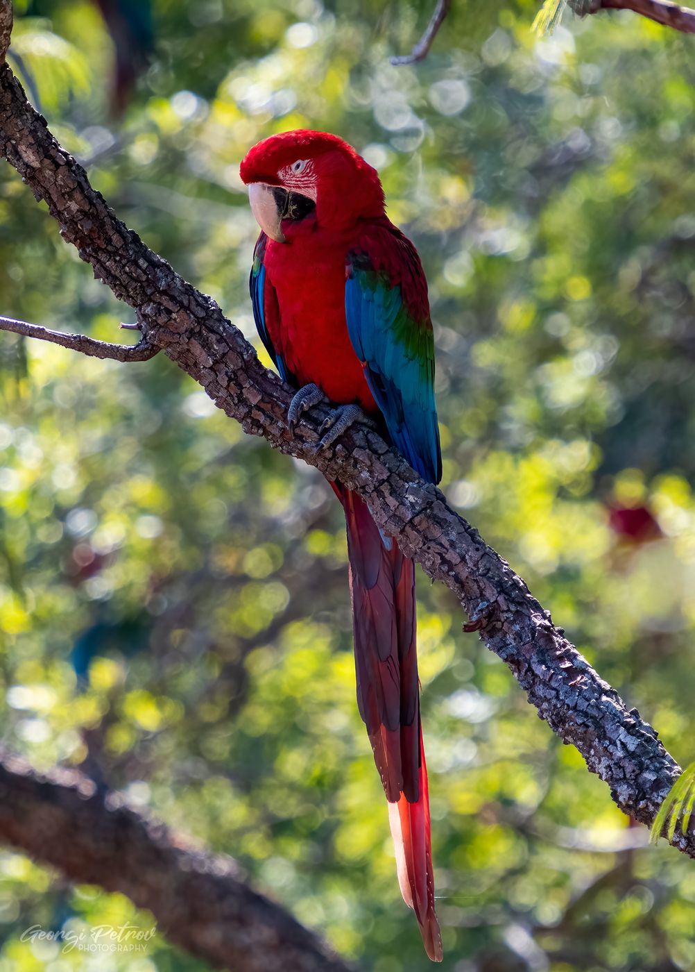 Buraco dos Araras, Brazil