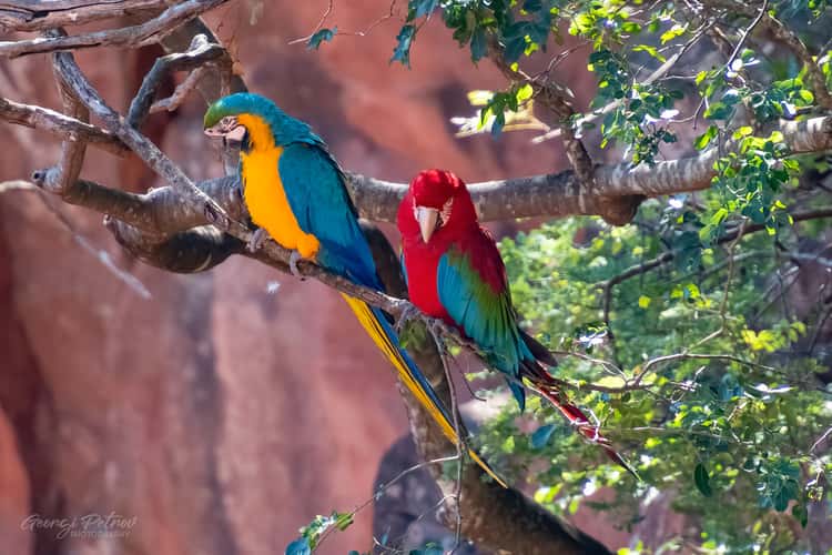 Buraco dos Araras