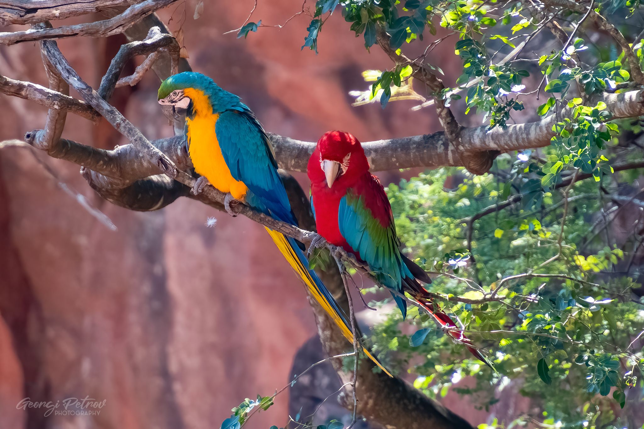 Buraco dos Araras, Brazil
