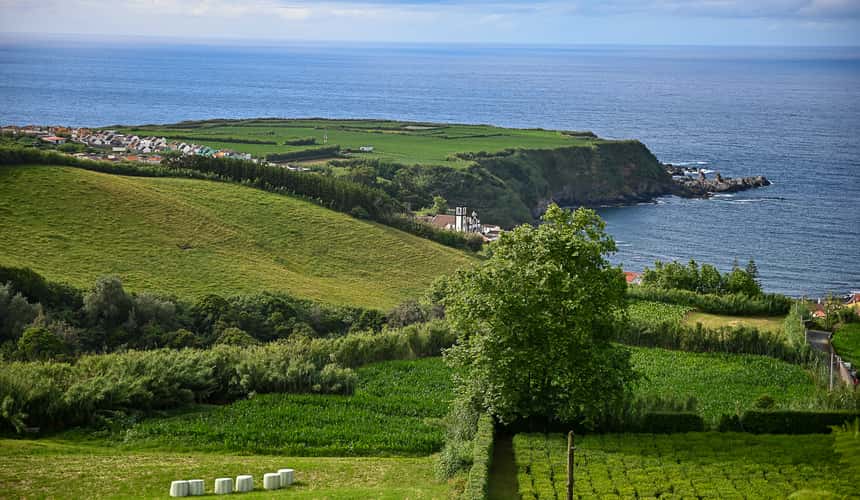 Chá Porto Formoso