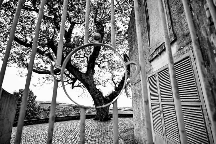 Chá Porto Formoso