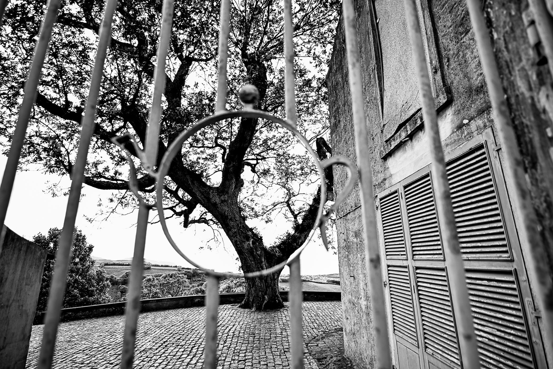Chá Porto Formoso, Portugal