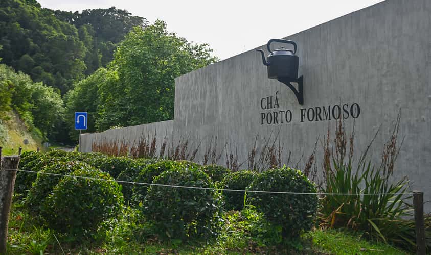 Chá Porto Formoso
