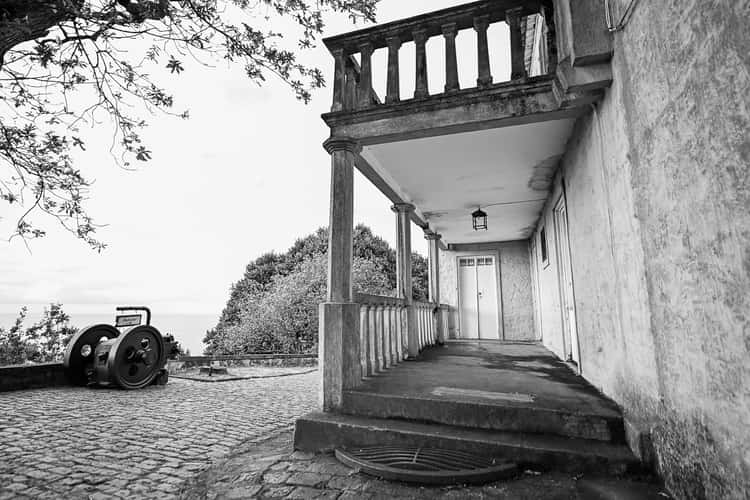 Chá Porto Formoso