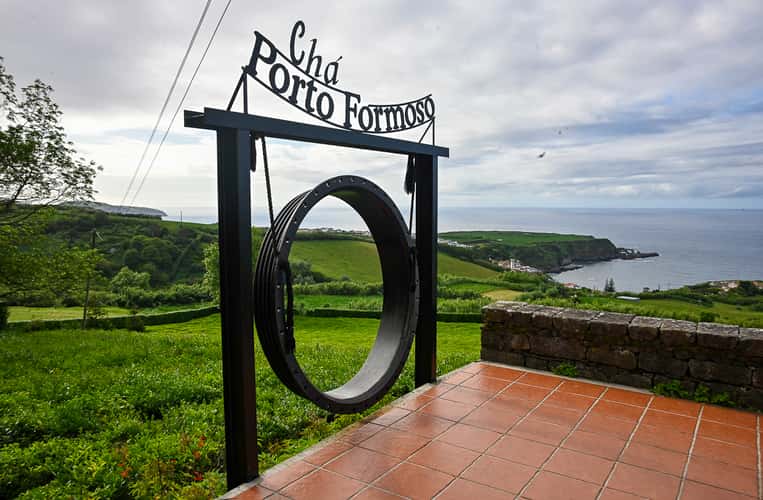 Chá Porto Formoso