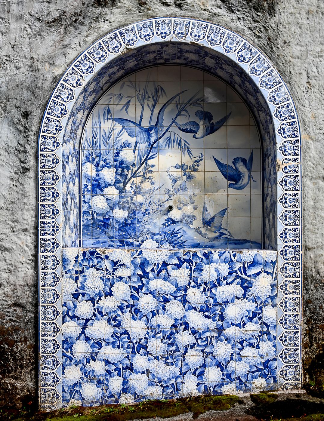 Chá Porto Formoso, Portugal
