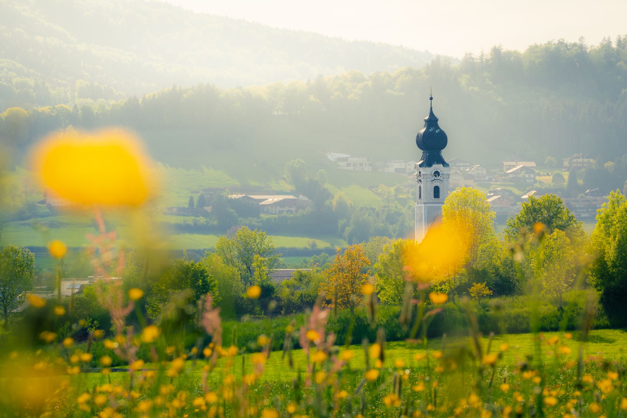 Church, St. Georgen im Attergau, Upper Austria, Austria