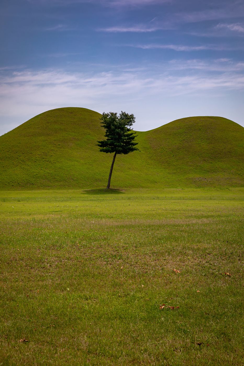 Daereungwon Tomb Complex, South Korea