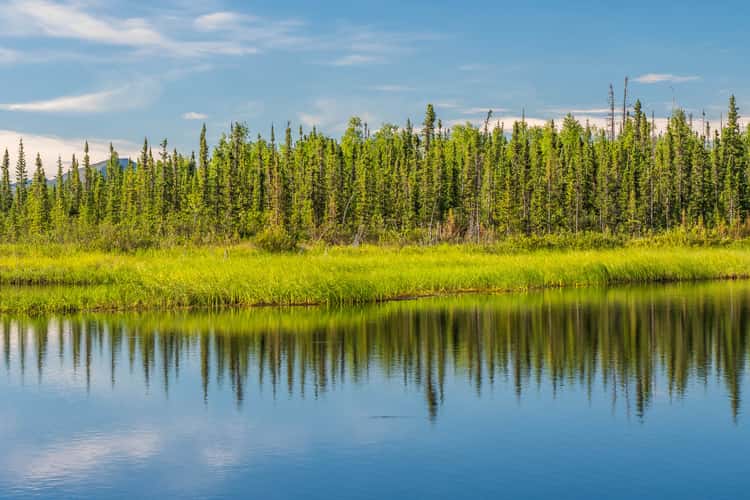Dalton Highway south of Coldfoot