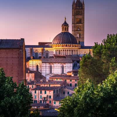 Doumo di Siena from Fortezza Medicea, Italy