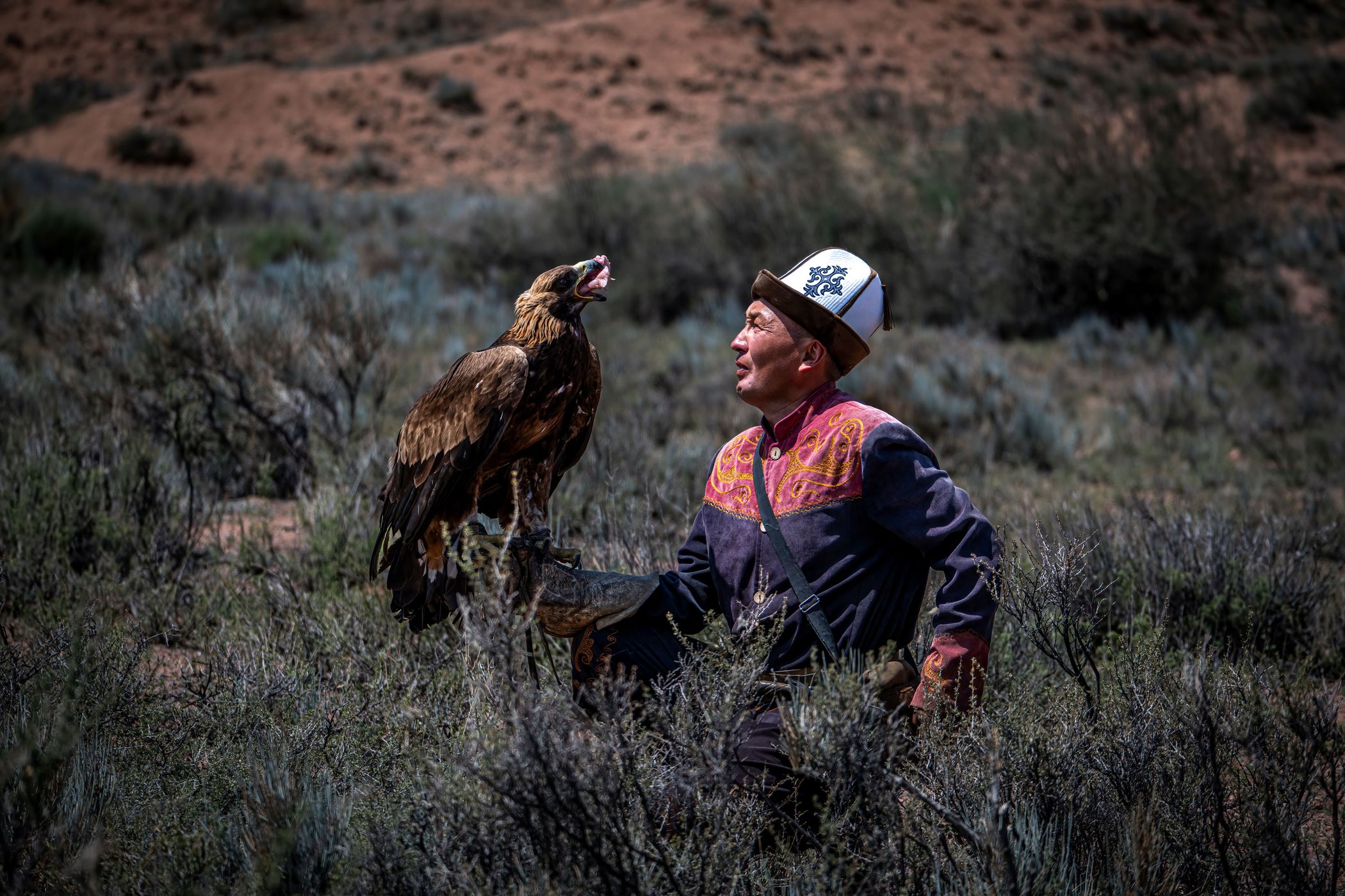 Eagle hunter, Issyk-Kul Region, Kyrgyz Republic