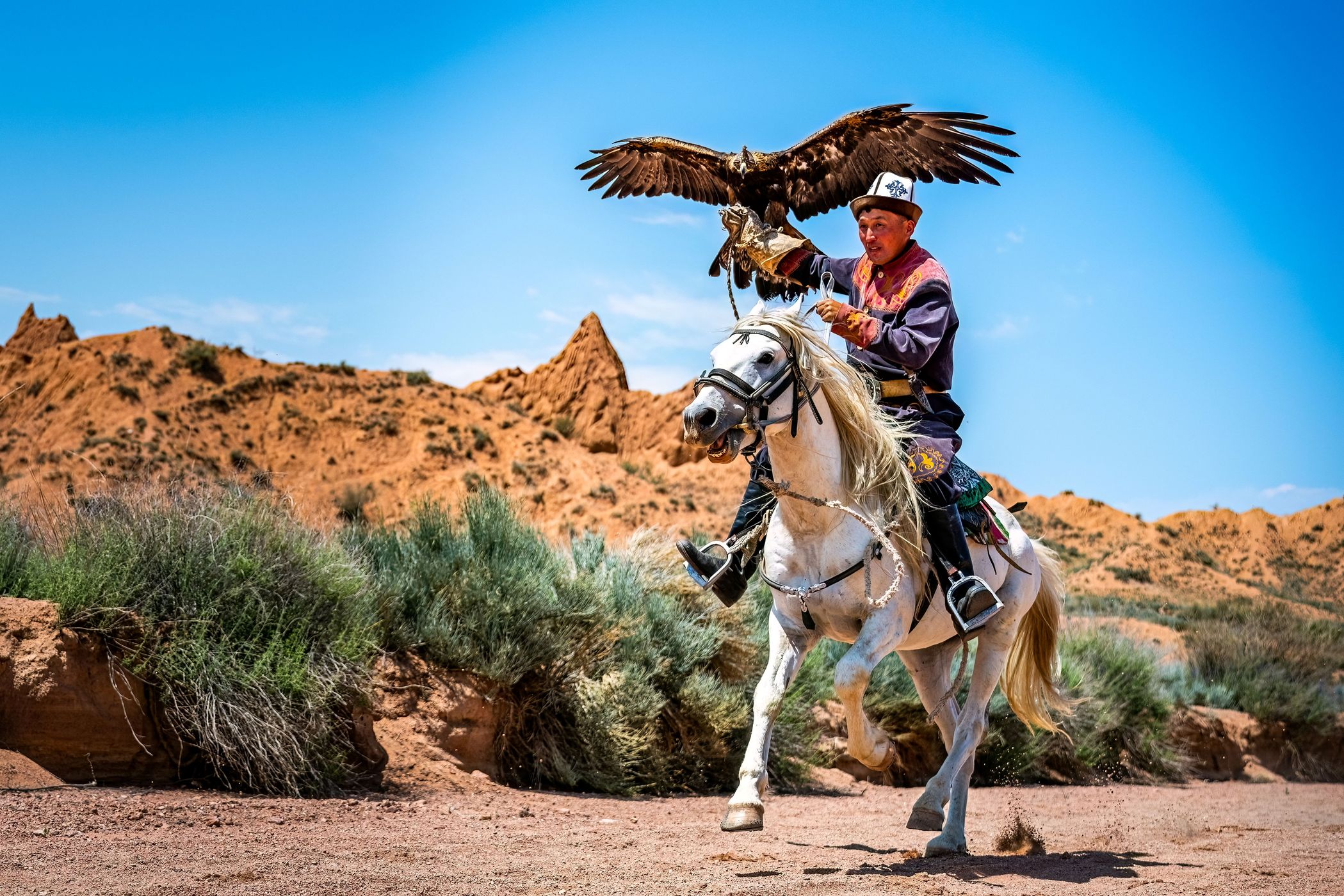Eagle hunter, Issyk-Kul Region, Kyrgyz Republic