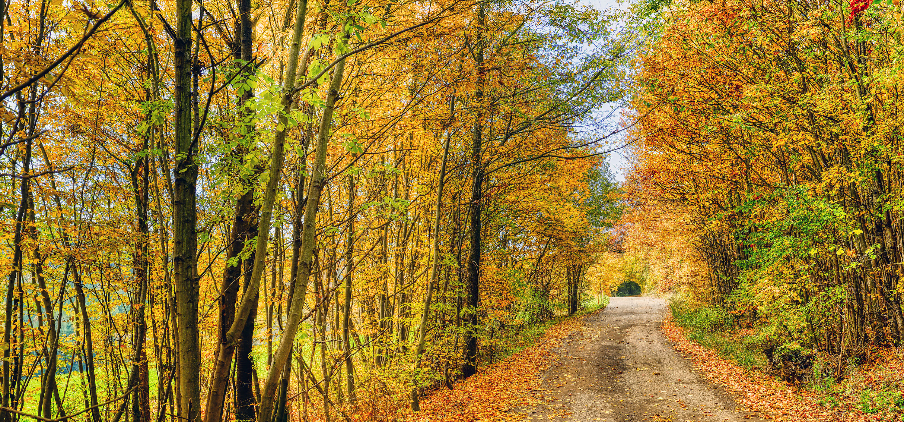 Fall in Füllenberg, Austria