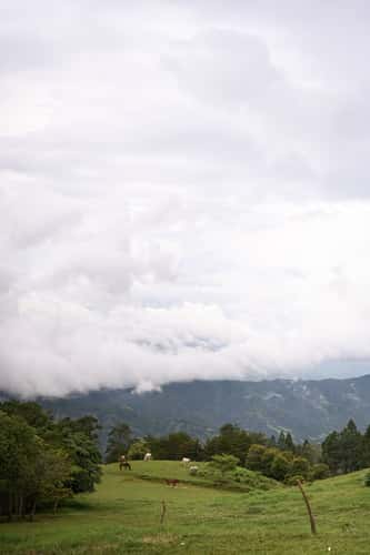 farm view in santa ana