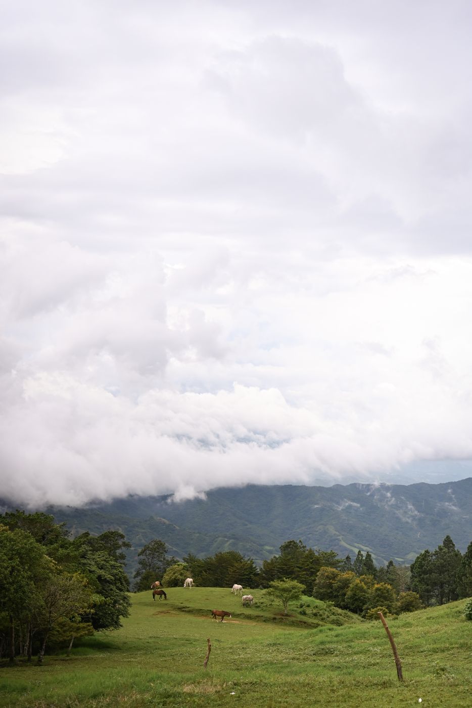 farm view in santa ana, Costa Rica