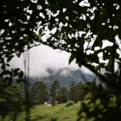 farm view in santa ana, Costa Rica