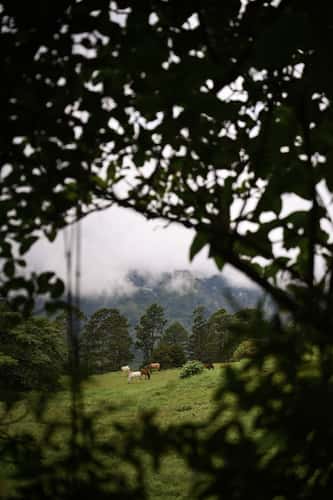 farm view in santa ana