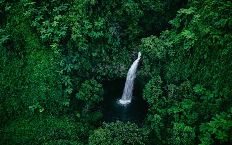 First fall, Tavern Falls, Taveuni