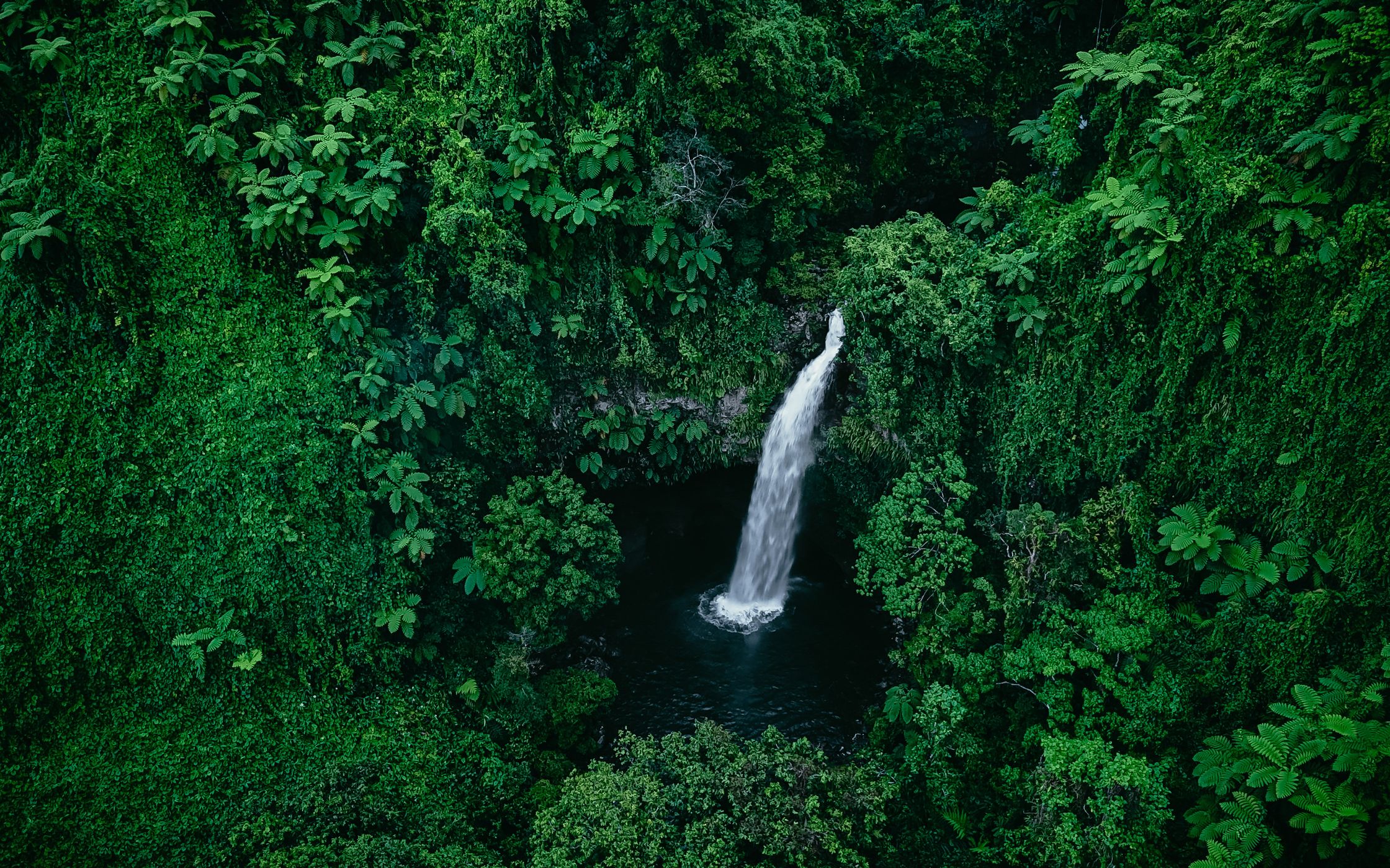 First fall, Tavern Falls, Taveuni, Fiji
