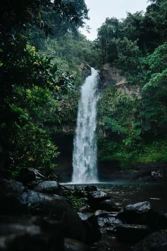First fall, Tavern Falls, Taveuni