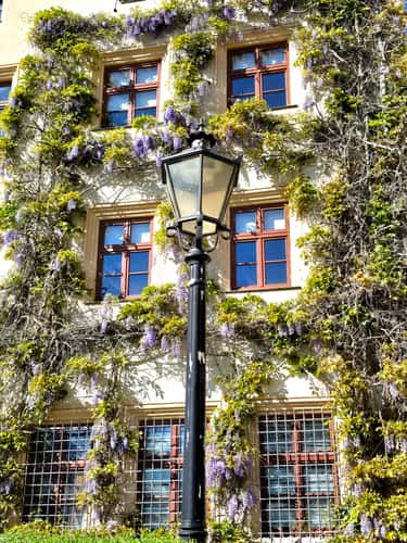 Historic old town of Lutherstadt Wittenberg